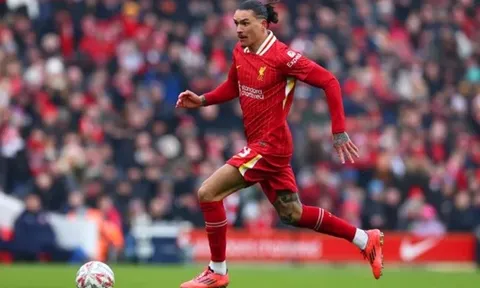 Neville cho biết vụ chuyển nhượng có thể khiến Liverpool mất chức vô địch