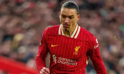 Lý do Darwin Nunez vắng mặt ở trận Liverpool gặp PSV