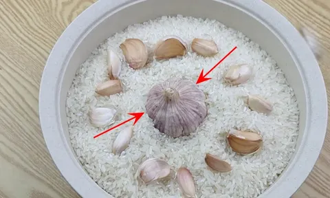 Vì sao nên vùi củ tỏi vào thùng gạo? Lợi ích đặc biệt, nhà nào cũng cần