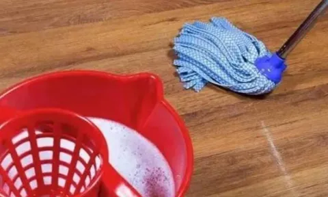 Lau nhà đừng chỉ dùng nước lã, đây mới là 7 loại nước giúp sàn nhà sạch sẽ, chống bụi bẩn