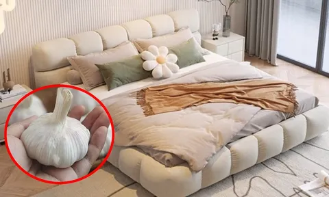 Vì sao nhà nào cũng nên để một củ tỏi ở đầu gường? Có 4 công dụng đặc biệt