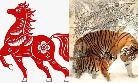 7 ngày tới: 5 con giáp gặp may mắn bất ngờ khó cản được, tuổi Ngọ hưởng lộc lớn