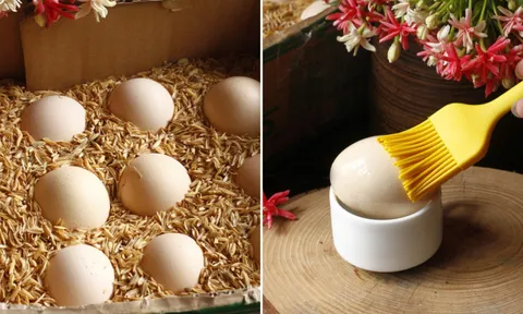 Bảo quản trứng không cần tủ lạnh, dùng cách này, để cả tháng trứng vẫn tươi ngon
