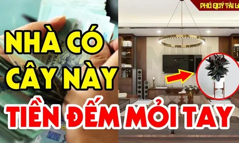 Tổ Tiên nói: '5 cây cảnh dưỡng người, hoa càng nở rộ người càng giàu sang', ngũ hoa đó là gì?