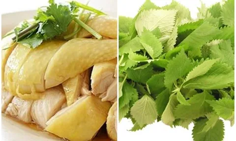 Vì sao khi ăn thịt gà không nên ăn cùng rau kinh giới?