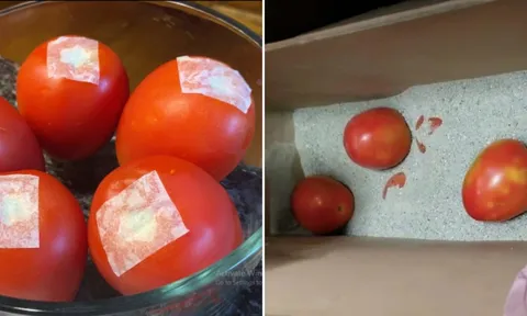 4 cách bảo quản cà chua không cần tủ lạnh, để cả tháng vẫn tươi ngon