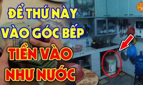 Bếp là nơi 'tụ tài': 3 vật để lâu càng vượng, 2 thứ vứt ngay kẻo Tiền Tài khánh kiệt