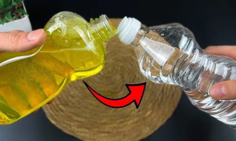 Hòa giấm trắng với nước rửa bát: Mẹo nhỏ mang lại lợi ích lớn, nhà ai cũng thích