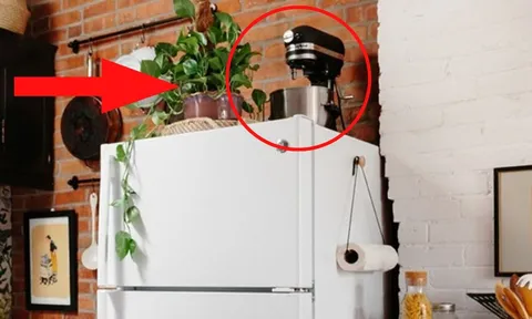Nóc tủ lạnh có 4 thứ này, tài lộc, của cải nhiều mấy cũng trôi đi hết: 90% mắc phải, nhà bạn có không?
