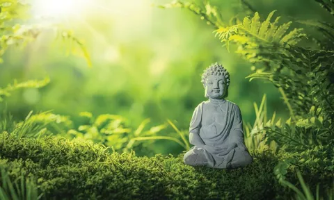 Phật dạy về cuộc sống an nhiên: Bí quyết đạt đến hạnh phúc và an lành từ trong tâm
