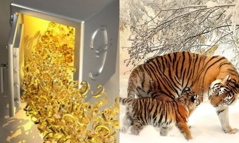 Tháng 2 âm lịch: 3 con giáp bà Chúa Kho gọi tên, Tài Lộc no nê, số 1 đếm tiền mỏi tay