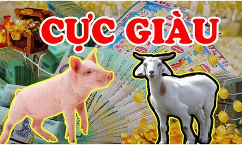 Tháng 3 Dương: 3 tuổi Lộc Trời Tràn Vào Cửa, Tiền - Tài - Danh hội tụ, giàu số 2 không ai số 1
