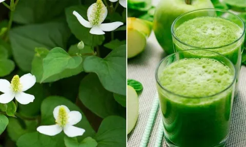 3 loại nước ‘khắc tinh’ của K, dễ làm giá quá rẻ, có sẵn trong vườn