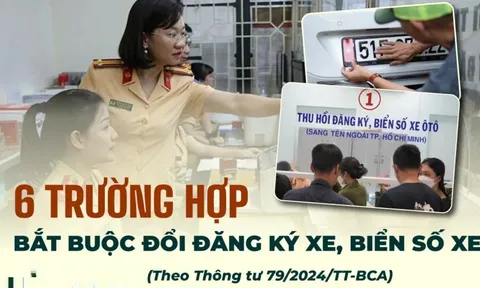 6 trường hợp bắt buộc đổi đăng ký xe, biển số xe: Chậm trễ sẽ bị phạt 6 triệu?