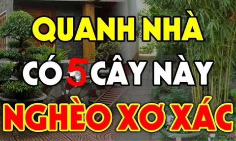 5 cây ác vào nhà, cây càng xanh tốt thì người càng suy kiệt, cây ác là những cây nào?