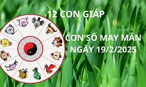 Tử vi ngày 19/2 con số may mắn cho 12 con giáp nhận lộc tổ tiên qua đêm trúng lớn đổi vận giàu sang