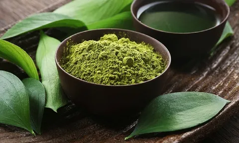 5 lý do nên uống matcha để có làn da đẹp tự nhiên, căng bóng chẳng kém gì gái Hàn
