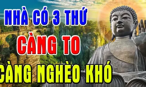 Các cụ dặn kỹ: Trong nhà 3 thứ này càng to càng dễ đau ốm, khánh kiệt, cái gì to mà đáng sợ vậy?