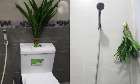 Để nắm lá này trong nhà vệ sinh, vừa khử mùi hôi, vừa đuổi sạch muỗi, dĩn