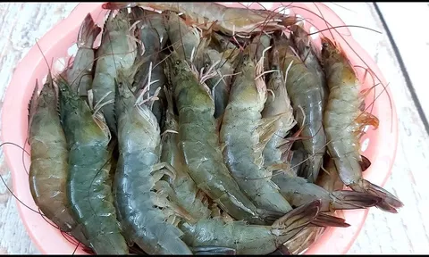 Tôm bảo quản tủ đá lấy ra đừng ra đông, làm theo cách này tôm tươi ngon như mới mua
