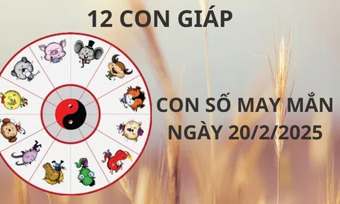 Tử vi ngày 20/2 con số may mắn cho 12 con giáp tiền vào như nước, giàu sụ bất ngờ