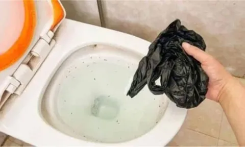 Dùng một chiếc túi nilon, thông bồn cầu tắc chẳng tốn một xu
