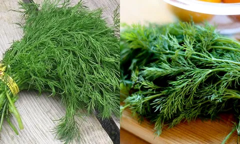 Loại gia vị 'thần thánh' giúp khử mùi tanh, bảo vệ thận, có mặt ở mọi chợ Việt