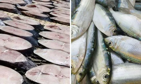 3 loại cá tốt ngang cá hồi, giá rẻ hơn nhiều: Ngoài chợ bán đầy không ai quá phí