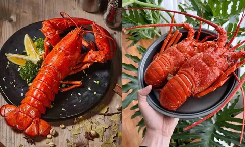 Hải sản 'siêu phẩm' Việt Nam 'cháy hàng' tại Trung Quốc: Dinh dưỡng vàng, giá trị 'khủng'