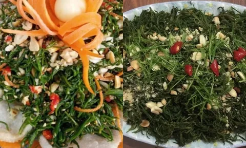 Loại cây dại 'vô danh' ngày ấy, nay hóa đặc sản 'gây thương nhớ' giữa lòng thành phố