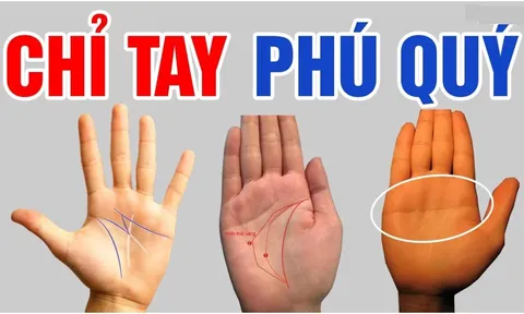 Người ít nghiệp, nhiều phúc trên bàn tay thường có 4 điểm này: Có 1/4 cũng đáng chúc mừng