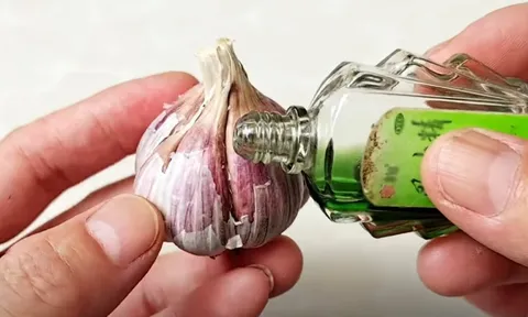Nhỏ dầu gió vào tỏi tưởng lãng phí, hóa ra có công dụng đặc biệt, ai cũng cần