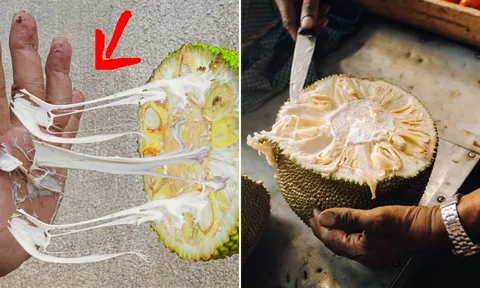 Nhựa mít dính nhằng nhằng, lấy thứ này xoa vào tay, chỉ vài giây là sạch