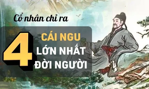 Ở đời có 4 cái ngu, 'dính 1/4' thôi cũng khó yên, là những cái ngu nào?