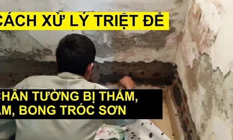 Tường nhà lâu ngày bong tróc mốc đen, phồng rộp, xoa thứ này lên là hết sạch ngay