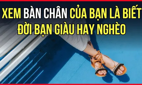 Nhìn xuống bàn chân biết ngay bạn thuộc 5 quý tướng này không, chuẩn hơn nhìn mặt