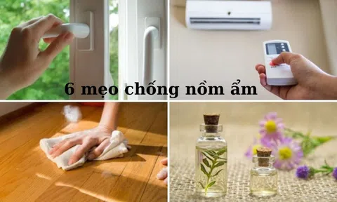 Trời nồm ẩm làm ngay mẹo sau để nhà cửa khô ráo, thoáng mát hơn