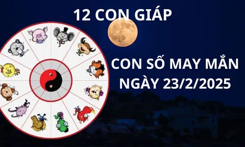 Tử vi con số may mắn Thần tài phát lộc cho 12 con giáp khéo chọn thì hốt vàng gánh bạc về két