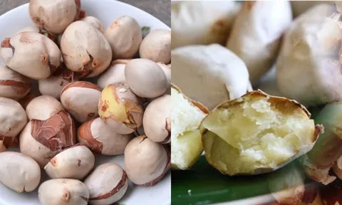 Loại hạt 'rẻ như bèo' ở Việt Nam, là 'siêu phẩm' dinh dưỡng giá trị ngang thịt ở nước ngoài