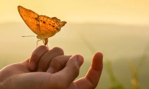 Tổ Tiên khuyên dạy: 'Ở đời có 2 việc không nên đợi và 2 thứ không nên sợ hãi', đó là việc gì?