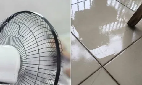Trời nồm, có 2 việc sai lầm khiến sàn nhà thêm ẩm ướt, gây khó chịu