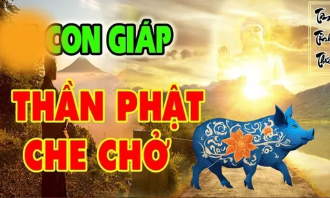 3 con giáp may mắn có Phật Bà bảo vệ, cả đời gặp Hung sẽ hóa Cát Lành