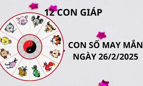 Tử vi ngày 26/2 con số may mắn Thánh Mẫu ban lộc cho 12 con giáp ùn ùn hốt vàng hốt bạc về nhà