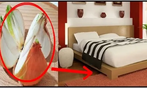 Vì sao khi ngủ nên đặt 1 củ hành tây lên đầu giường: Mẹo hay cả nam và nữ đều cần