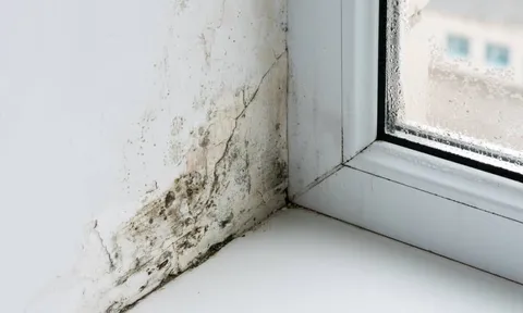 Mẹo xử lý tường nhà mốc lở, bong tróc: Đơn giản không tốn tiền, nhà nào cũng làm được