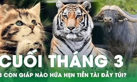 Tháng 3/2025 hoan hỷ: 3 con giáp hút tài lộc, đặc biệt Tình - Tiền đều vượng