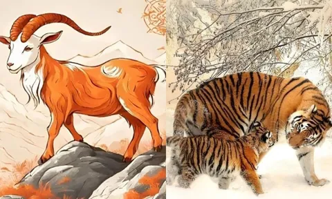 2 tháng liên tiếp (tháng 3-4): 3 con giáp đạt đỉnh Tình-Tiền-Tài, giàu có vạn người mơ