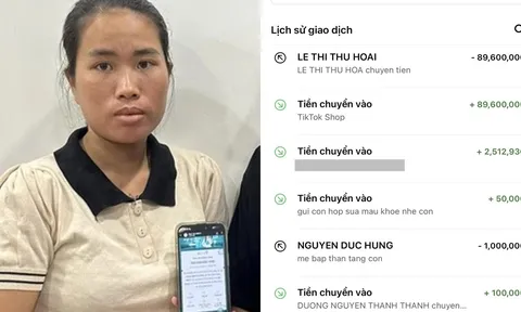Mẹ bé Bắp bất ngờ tung "sao kê online" lúc nửa đêm, giải thích lý do chưa thể về Việt Nam trong 4 tháng tới