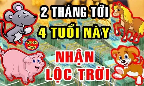 Qua đêm nay: 3 tuổi Cô Thương, Cậu Độ Tiền - Tài -Danh tăng phi mã, đến tiền mỏi tay trong 2 tháng tới