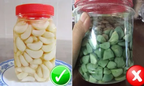 Tỏi ngâm giấm xanh đậm mất ngon: Thêm 1 bước tỏi trắng giòn, để lâu không hỏng